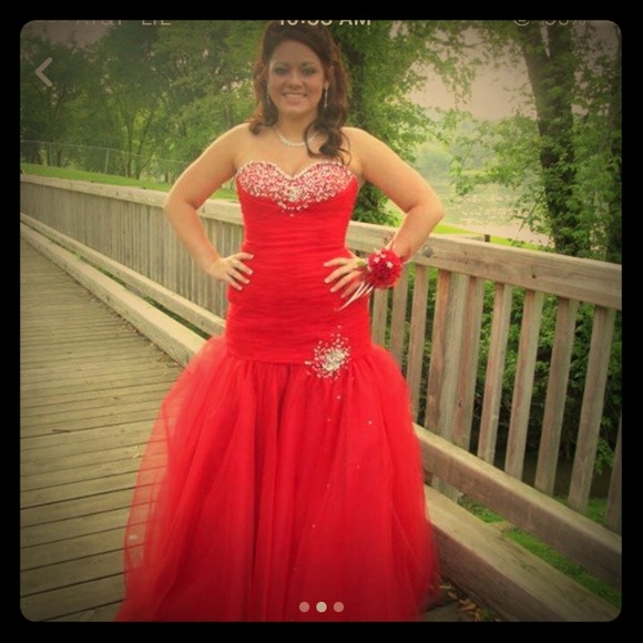 Beautiful mermaid corset gown