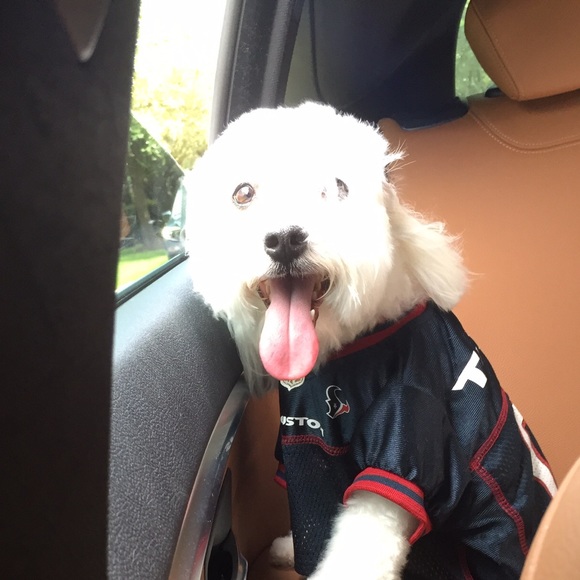 Meet your Posher, Monique