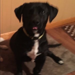 Meet your Posher, Carol