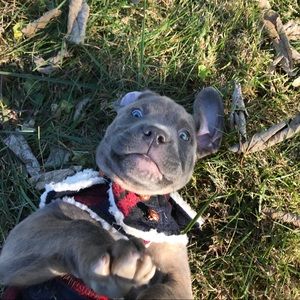 Meet your Posher, Tracee