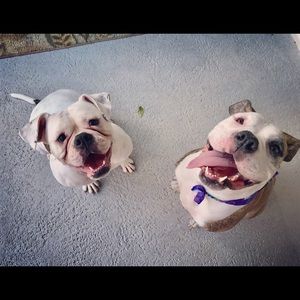 Meet your Posher, Samantha