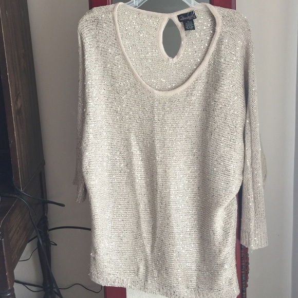 Sweater with sequins intertwined in.