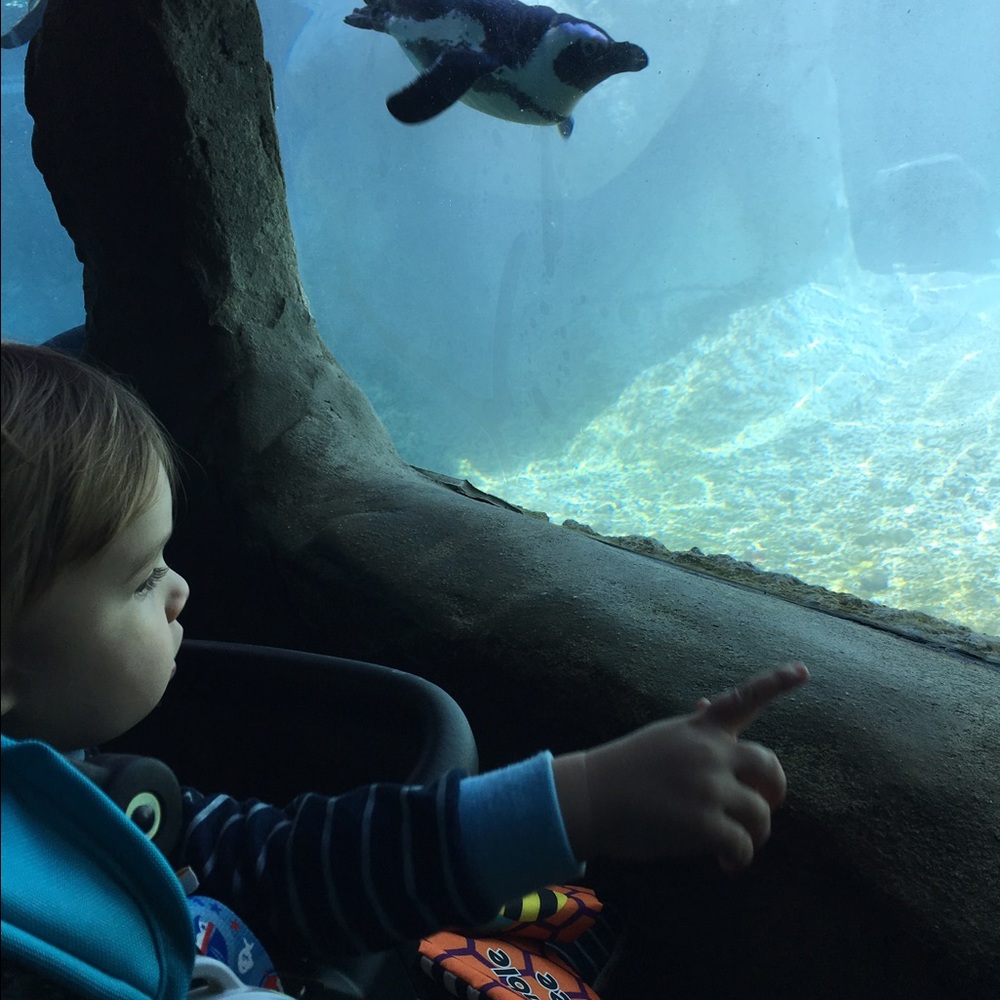 Meet your Posher, Caroline