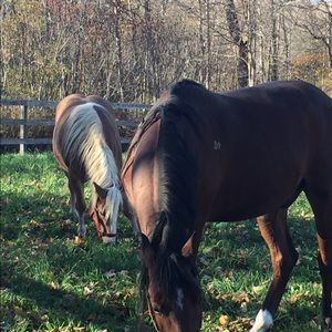 Meet your Posher, Bobbi