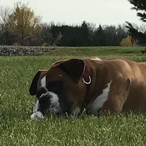 Meet your Posher, Pamela