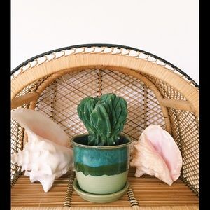 Meet your Posher, Tasha