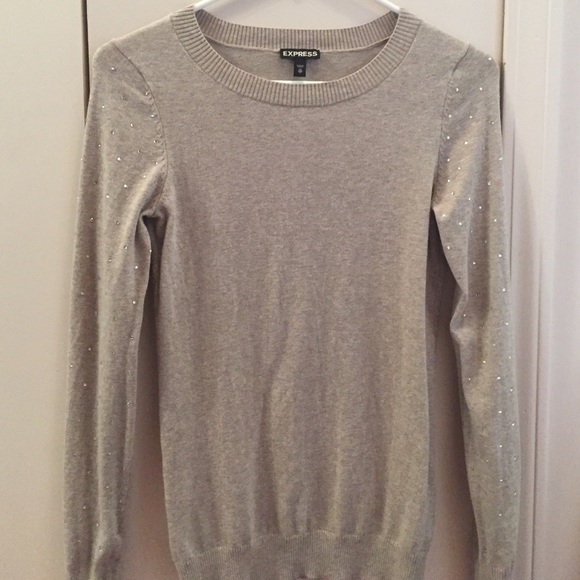 Express holiday sweater