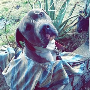 Meet your Posher, Victor