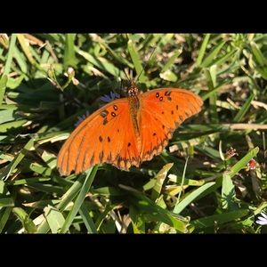 Meet your Posher, Caylee