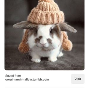 Meet your Posher, Christine