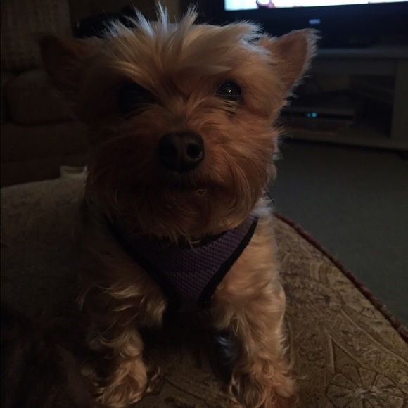 Meet your Posher, Nancy - Picture 2 of 4