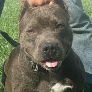 Meet your Posher, Sal