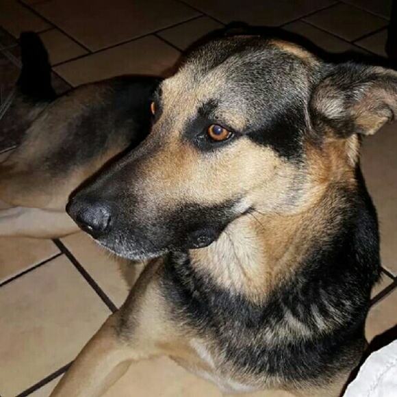 Meet your Posher, Joanna