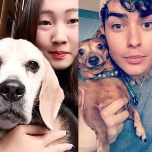 Meet your Posher, Blake