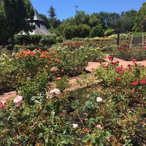 Meet your Posher, April