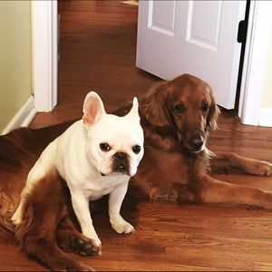 Meet your Posher, Karla