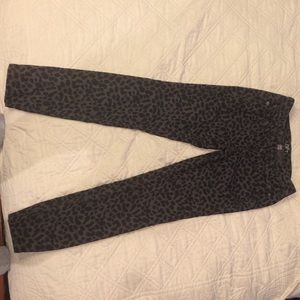 Loft 4P leopard print pants