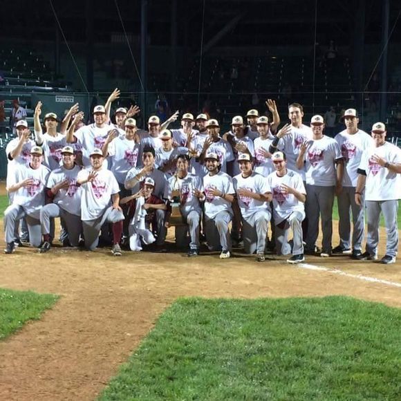 Meet your Posher, Gareth - Picture 1 of 1