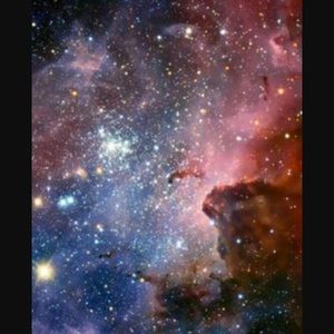 Meet your Posher, Jack