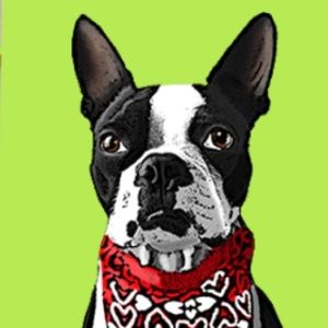 Meet your Posher, Whitney