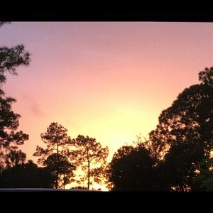 Meet your Posher, Lucinda