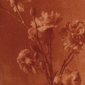 Meet your Posher, Ferris