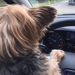 Meet your Posher, Jennifer