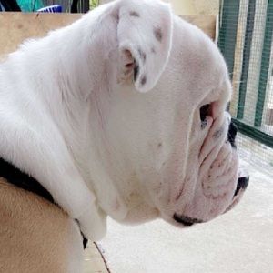 Meet your Posher, Brandon