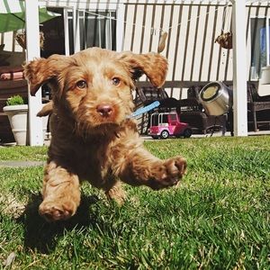 Meet your Posher, Andrea