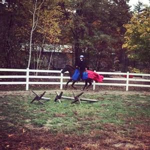 Meet your Posher, Ann