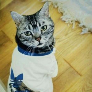 Meet your Posher, Jack