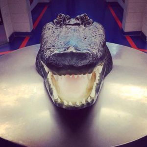 Meet your Posher, Johnny