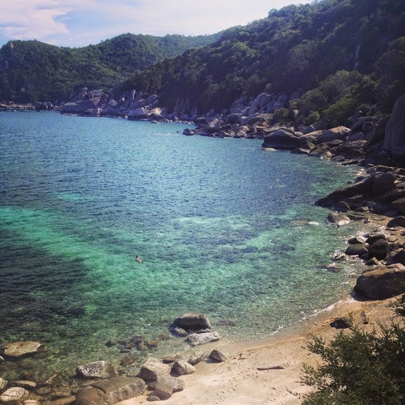 Meet your Posher, Brittney - Picture 1 of 1