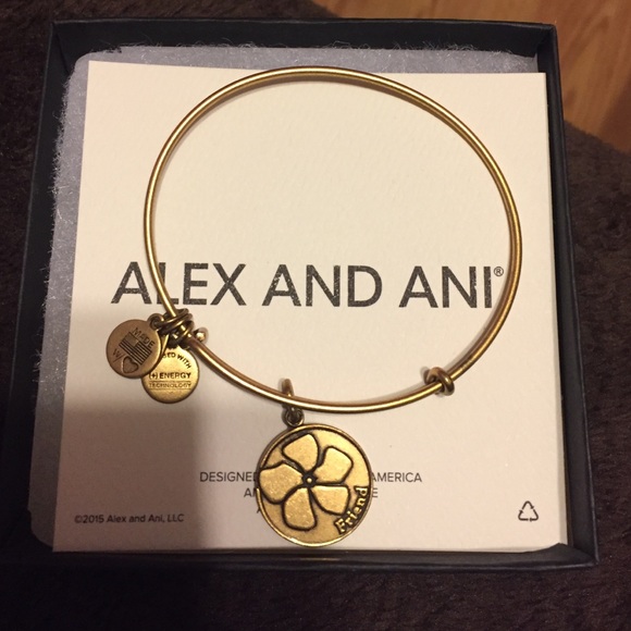 Alex and Ani Jewelry - Alex and Ani Friend Bracelet
