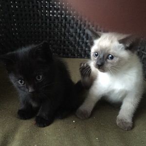 Meet your Posher, Taylor