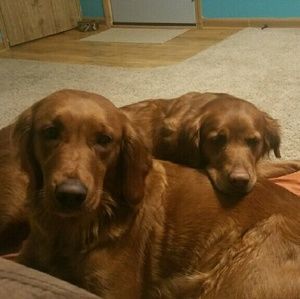 Meet your Posher, Cassandra