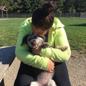 Meet your Posher, Amber