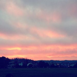 Meet your Posher, Sophia