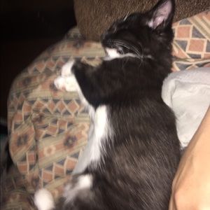 Meet your Posher, Edgar