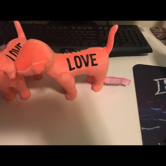 Pink VS Dogs - Picture 2 of 2