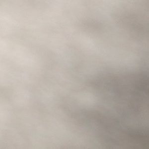 Meet your Posher, Bobby