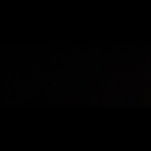 Meet your Posher, Logan