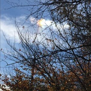 Meet your Posher, Pilar