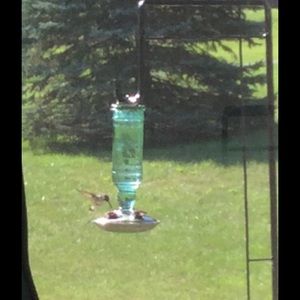 Meet your Posher, Anne