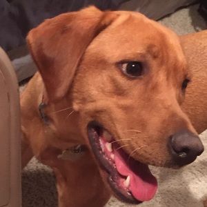 Meet your Posher, Caleb