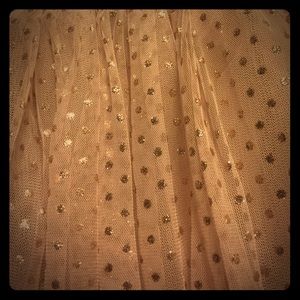 Glittery Tutu Skirt