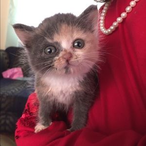 Meet your Posher, Becky