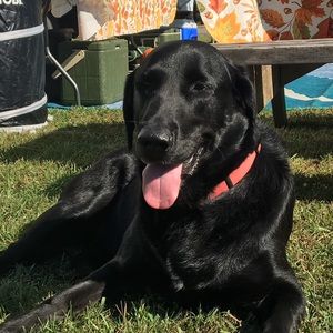 Meet your Posher, Caitlin