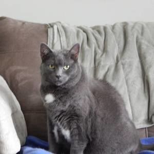 Meet your Posher, Annette