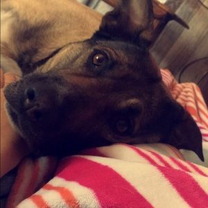 Meet your Posher, Lily